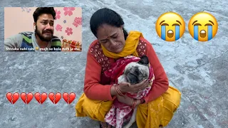 Shizuka nahi rahi 😭 || alwida beti fir milenge kisi roop mae 😭 #greeshbhatt #dailyvlogs #shizuka