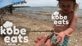 CHEF KOBE ENJOYS A DAY AT THE PARK