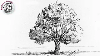 Cómo dibujar desde Cero #8 Cómo Dibujar un Árbol con lápiz