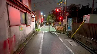 Tokyo walk from day to rainy night