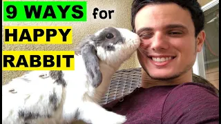 9 ways to make your rabbit happy - Expert tips