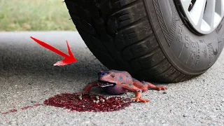 Crushing Crunchy & Soft Things by Car! Oddly Satisfying Video