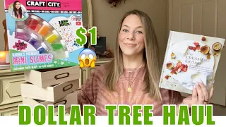 DOLLAR TREE HAUL|NEW|HUGE|AMAZING FINDS|BRAND NAME ITEMS