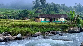 Hidup di desa, Menginap Dirumah Pinggir Sungai, Ini Yang Akan Dirasakan