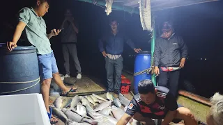 Câu Cá Biển.Câu jip Tại Hòn Trúng Bầy Cá Chẻm.Mini Jip....