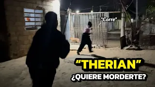¿Que hacer en caso de qué un THERIAN quiera  MORDERTE? 🦊