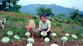 A Delicious Fairy Standing on the Yellow Earth