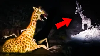 Unnatural Habitat - ¿Que esta pasando con los animales?