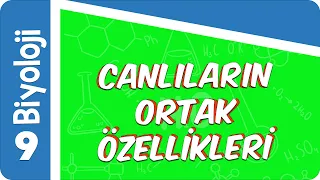 9. Sınıf Biyoloji: Canlıların Ortak Özellikleri #2022