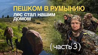 ВЫХОД ИЗ УКРАИНЫ - путь, которой мы не забудем.. Начали привыкать жить в лесу. escape from Ukraine