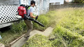 I almost GAVE UP after spending 18 HOURS cleaning up this lawn