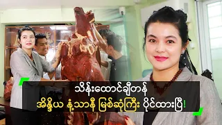 သိန်းထောင်ချီတန် အိန္ဒိယ နံ့သာနီ မြစ်ဆုံကြီး ပိုင်ထားတဲ့ မမေ
