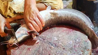 Massive Magur Fish Cutting & Skinning Skills Live In Bangladesh By Great Fish Cutter