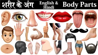 Human Body Parts Name Hindi & English with Pictures and pdf | शरीर के अंग | Name of Body Parts |