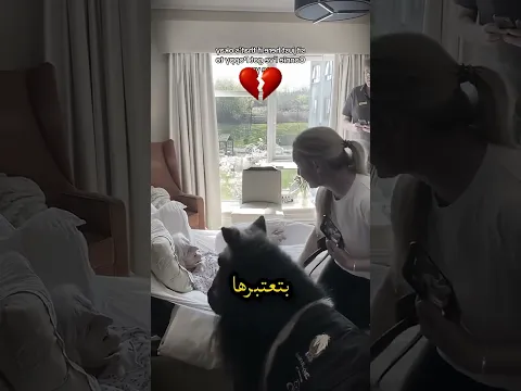 الامنية الاخيرة للجدة😥💔