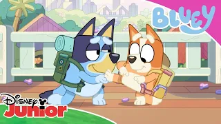 🎬 Είναι Ώρα για Σόου | Μπλούι | Disney Junior Ελλάδα
