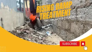 Secrets to Eliminating Rising Damp on Fence Wall | Dpc cream