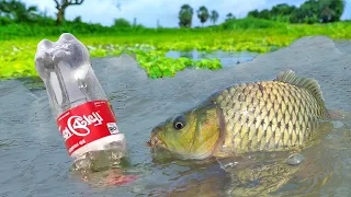 Best Hook Fishing By Plastic Bottle | Bottle Trap Fishing By Hook | Hunting By Masti