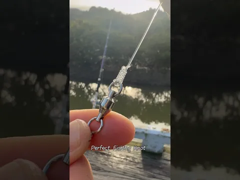 Perfect Fishing Knot #fishing #gtknot #angler