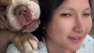 ❤️ These Dogs Never Leave Mommy Alone — Too Cute to Handle! 🐕🥰
