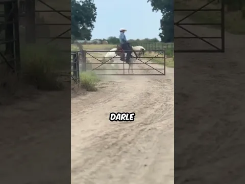 ¿Por qué se asustó el caballo