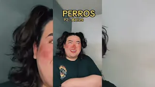 ✨LOS MEJORES TIKTOKS DE MISSRACHEL✨ P.-4