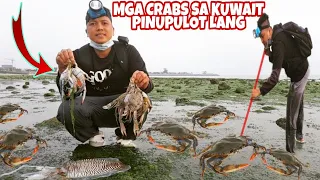 EP-249 Sa dagat ng Kuwait Pinupulot Lang Namin at Tinutusok ang mga Alimasag