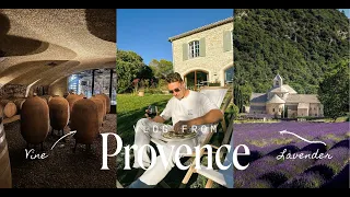 Винодельня в Провансе Vlog