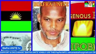 LIVE UPDATE: October 20 Free Nnamdi Kanu Now Protest Continues