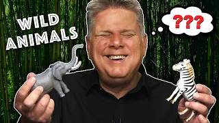 Blind Person Tries Identifying Wild Animals By Their Shape