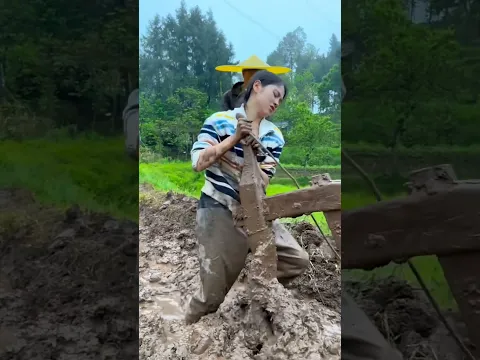 春风春雨春意满，万里春耕备田忙。世事不过劳作苦，苍生皆以食为天 #记录真实生活 #快手幸福乡村带头人 #幸福乡村春耕季  #countrysidecharm
