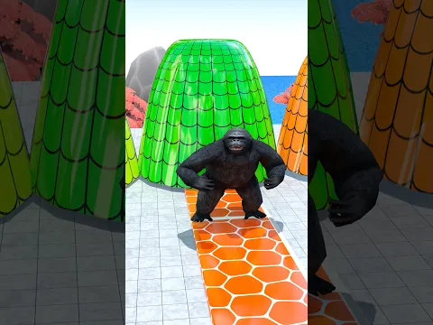 Duck To Gorilla | Animal Crossing Fountain | Long Slide Game | Zoova 3D
