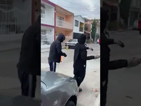 Sujetos lanzan bombas molotov a casa de adolescente que mató a gatito que adoptó