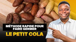 Comment faire germer le petit cola ultra rapidement (Méthode choc !) 🌱🔥