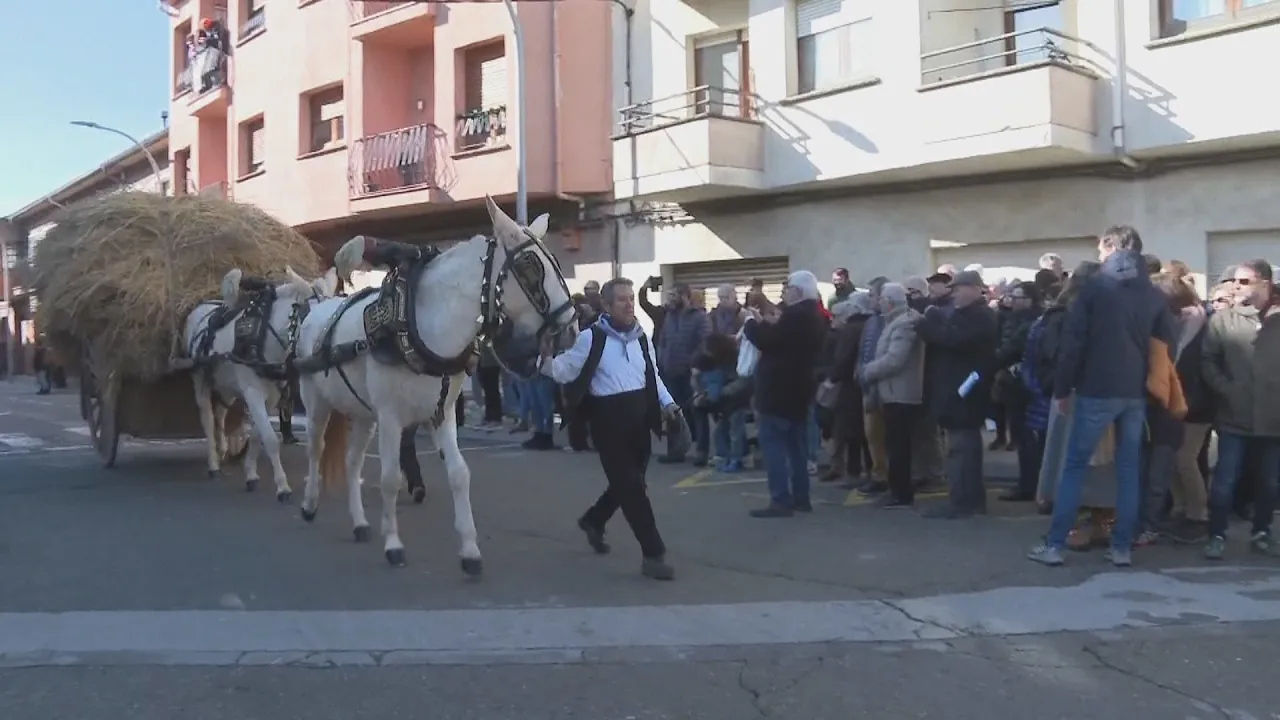 Tonis de Santa Eugènia de Berga 2026