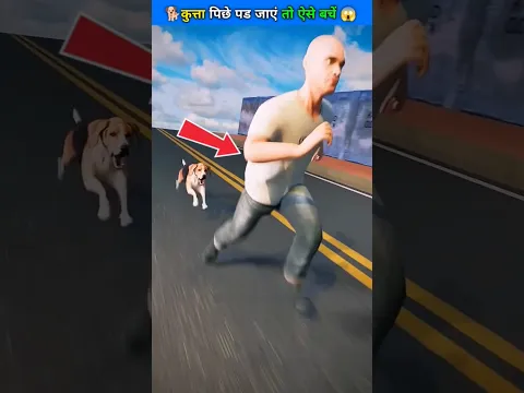 If a Dog Is Chasing You, Don't Run 😱