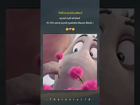New sinhala wadan tik tok video/ New sinhala wadan whatsapp video 💔🥀 #quotes #trendingshorts #viral