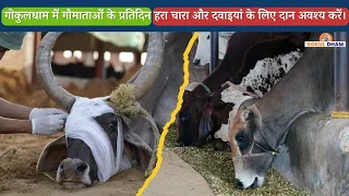 गोकुलधाम में गौमाताओं के प्रतिदिन हरा चारा और दवाइयां के लिए दान अवश्य करें।