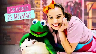 CONHECENDO OS ANIMAIS! #educaçãoinfantil #infantil #animais #kids