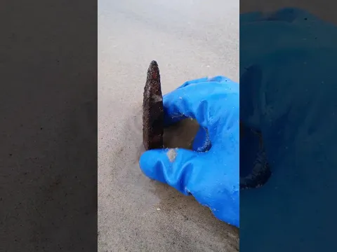Terrible trap on the beach