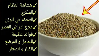 البشنة لزيادة الوزن|البشنة للعظام|البشنة و السكري|البشنة و فوائدها. و كيفية تحضير البشنة أو الدخن