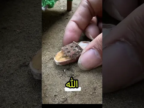 ماما… أنا جبت للكتكوت بتاعي شبشب جديد😳😱💥😡