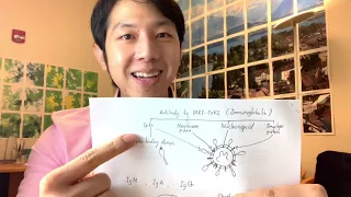 คนที่หายจากโควิดแล้วจะมีภูมิอยู่ได้นานเท่าไหร่ มาอ่านงานวิจัยกันครับ