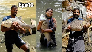 മടയിലെ മുഴുവൻ മീനും പിടിച്ചു ഇത്രയും പ്രതീക്ഷിച്ചില്ല / CAUGHT ALL FISH FROM THE QUARRY