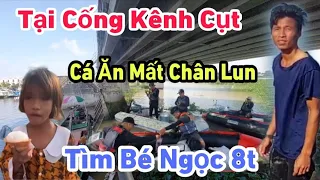 Ngư Dân Trực Tiếp Chứng Kiến Tìm Bé Ng.ọc 8t Cá Ăn Mất Rồi
