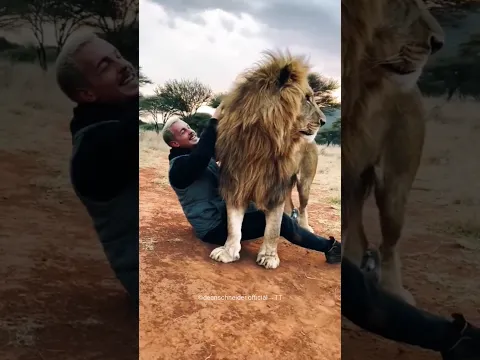 Kind Man Rescues a Lion Cub 😍