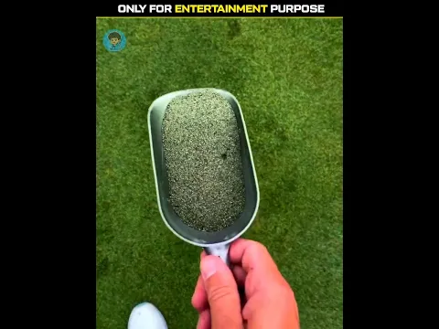 Why Golfers Use Sand ⛳😱
