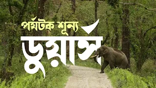 TV9 BANGLA LIVE TV | DOOARS | DURGA PUJA 2023 | পুজোর আগে পর্যটক নেই ডুয়ার্সে | BANGLA NEWS
