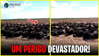 Fazendeiro envia mensagem assustadora depois de fazer essa descoberta em seu rancho particular