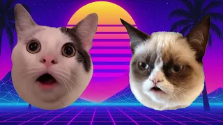 Sigma Boy - Cat Meme Cover